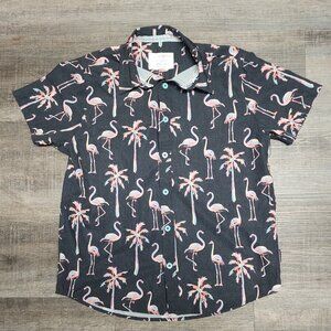 Boys Buckle Flamingo shirt size 8
